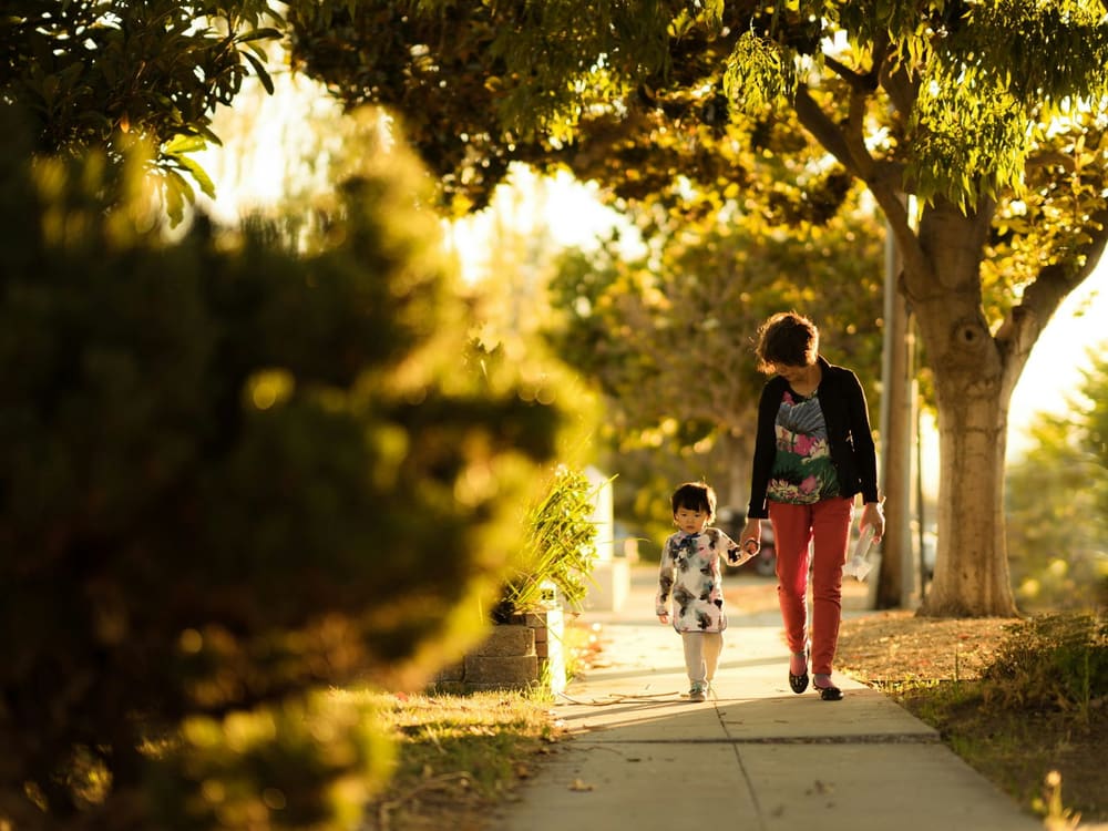 A parent and a young child walking hand in hand along a tree-lined neighbourhood sidewalk in late afternoon light